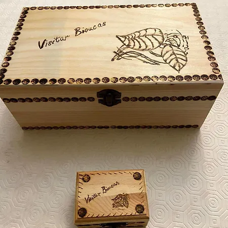 아파트 Visitar-bioucas-i-al-q-nature-and-well-being-rnal-43962-al *