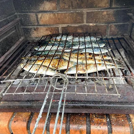 Visitar-bioucas-i-al-q-nature-and-well-being-rnal-43962-al * Souto (Santarem)