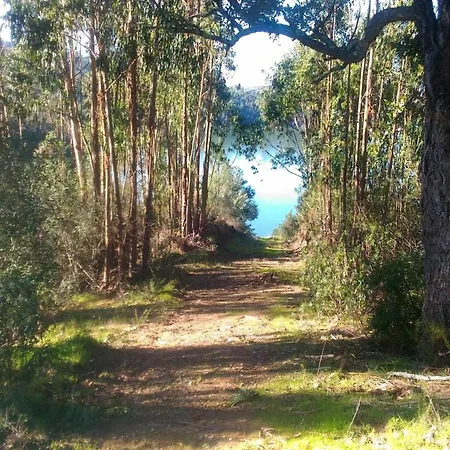 아파트 Visitar-bioucas-i-al-q-nature-and-well-being-rnal-43962-al