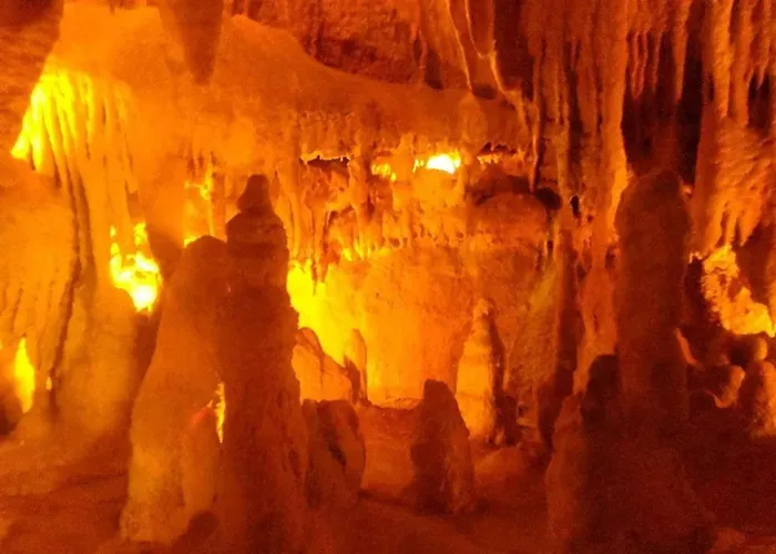 Visitar Bioucas I アパート Souto (Santarem)