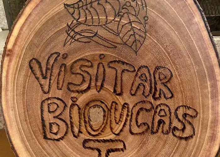 Visitar Bioucas I アパート Souto (Santarem)